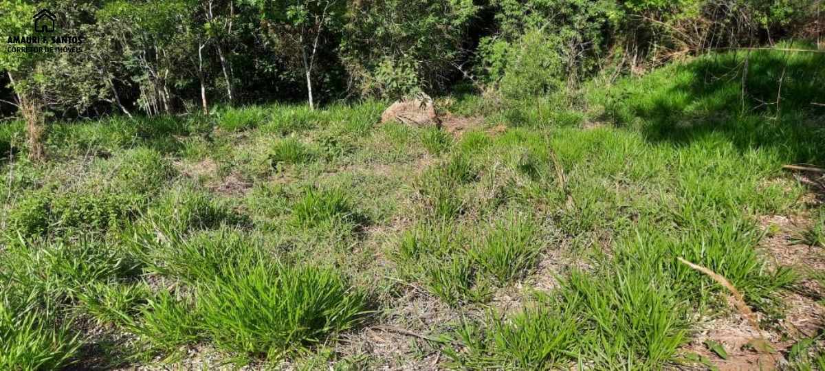 Chácara em , São Roque - 23.000m² a 800metros do centro da cidade - Foto 2